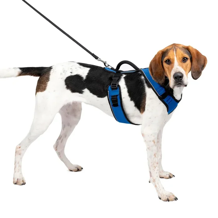 Easy Sport Harness Lg Blue