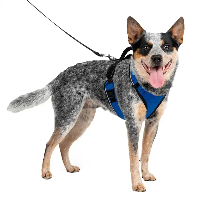 Easy Sport Harness Md Blue