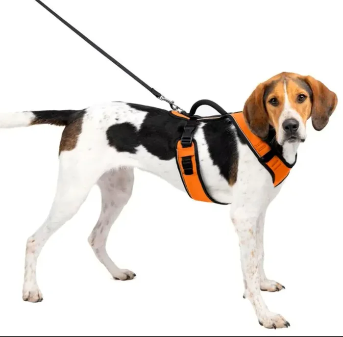 EasySport Harness Medium Orange