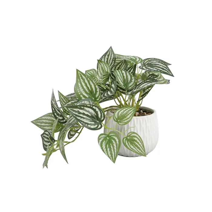 Elements Pothos Plastic Artificial Greenery Strip 9IN