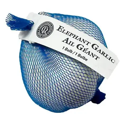 Elephant Garlic – Each