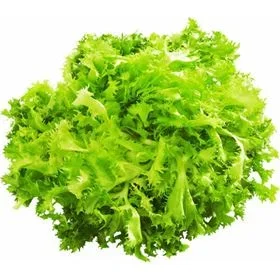 ENDYWIA 1 POLNISCHE ART