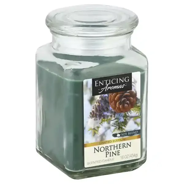 Enticing Aromas Candle 1 ea