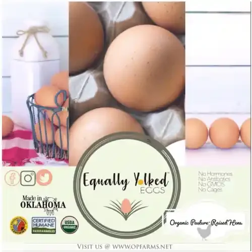 Equally Yolked Organic Free Range Eggs – 1 doz