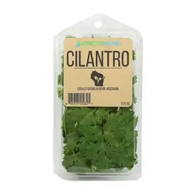 Ernessi Farms Cilantro