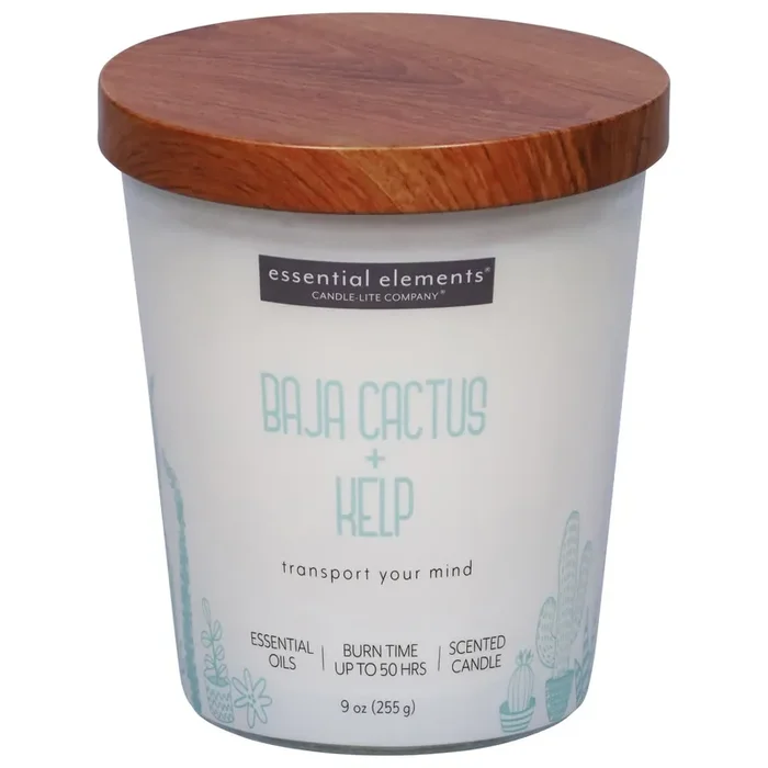 Essential Elements Baja Cactus + Kelp Candle 1 ea
