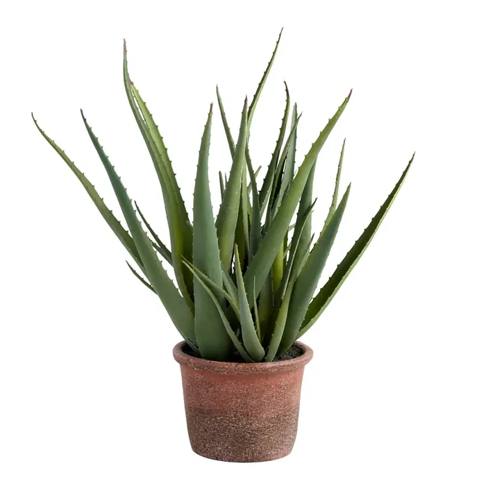 Faux Aloe Plant In Terracotta Pot