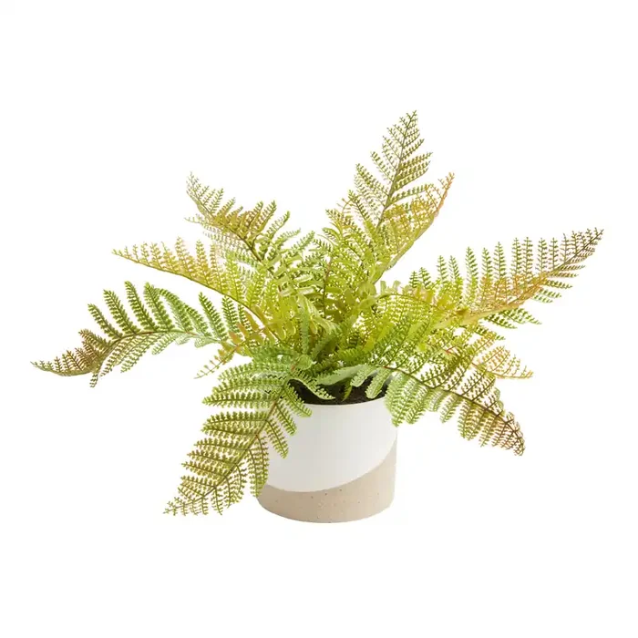 Faux Fern in Two Tone Ceramic Pot