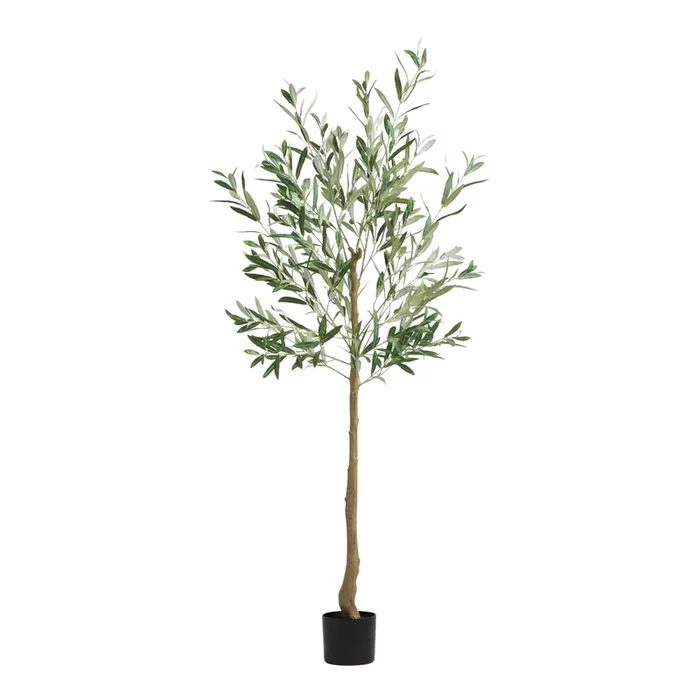 Faux Fruitless Olive Tree