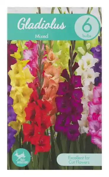 Garden State Bulb Company Gladiolus Mixed