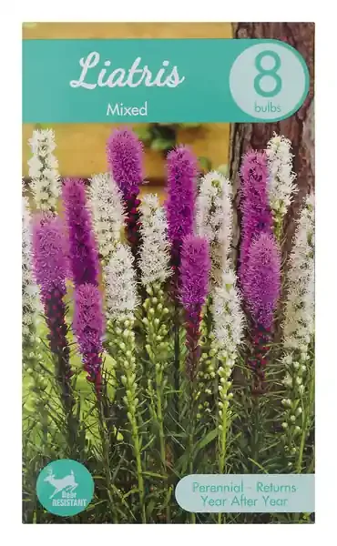 Garden State Bulb Company Liatris Mixed