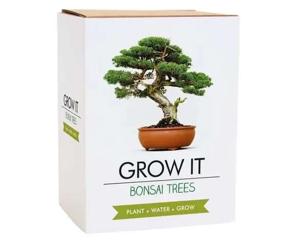 GROW IT – BONSAI TREES – USA