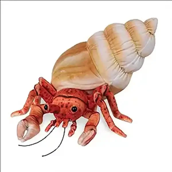 HERMIT CRAB – 14″