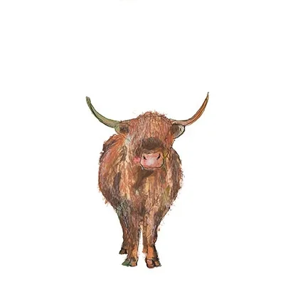 Magnus Card by Catherine Rayner