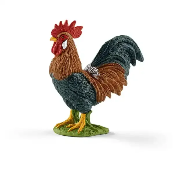 ROOSTER