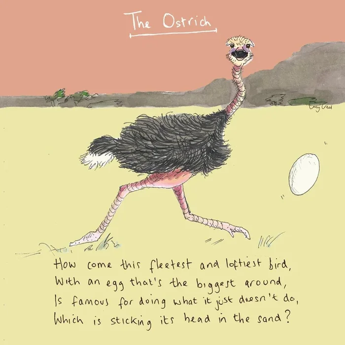 The Ostrich Blank Card