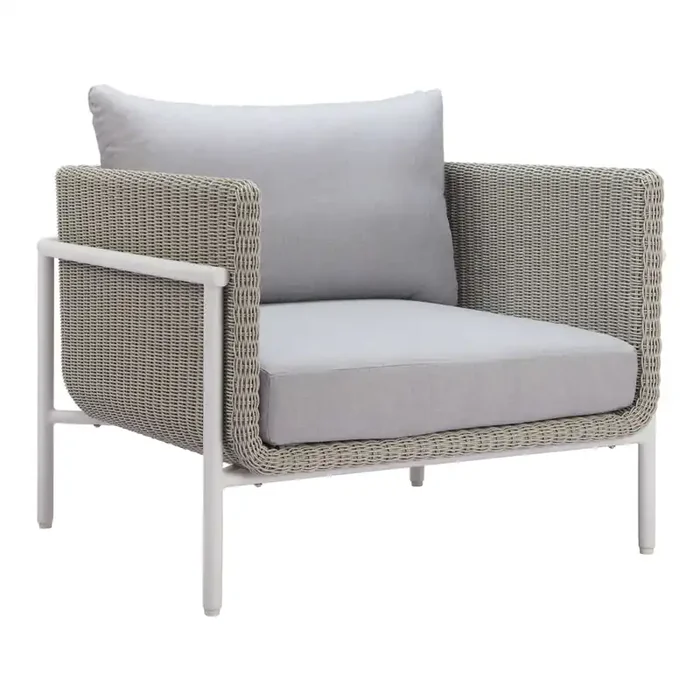 Vashti Gray All Weather Wicker and Metal Outdoor Chair