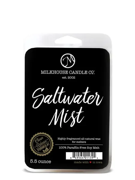 WAX MELTS SALTWATER MIST