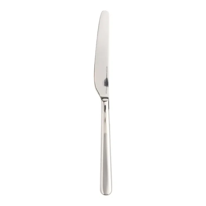 Wilson Stainless Steel Modern Dinner Knife Set of 2